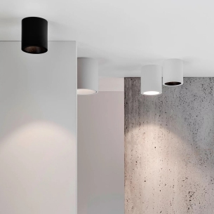 fam-boxy-r-fx01-8554b89d326aa537006a1c6da0bd84b7.jpg